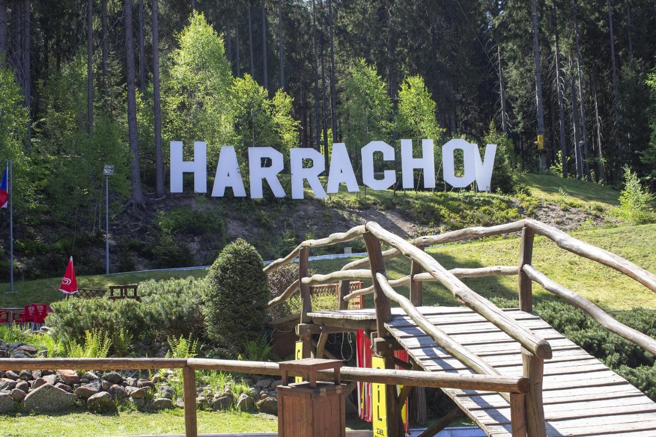 Enjoyharrachov - Atraktivni Slunne Studio Certovka V Centru Harrachova S Garazovym Parkovanim, Wifi-Wlan, Sat, Herni Konzoli, Netflix Zdarma A Nejkrasnejsim Vyhledem Na Certovu Horu S Arealem Skokanskych Mustku A Sjezdovku Eksteriør bilde